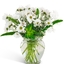 Christmas Flowers Saint Pet... - Flowers Delivery in Saint Petersburg,FL