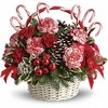 Christmas Flowers Sylvania OH - Flowers Delivery in Sylvani...