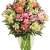 Fresh Flower Delivery Littl... - Flowers Delivery in Little ...