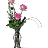 Florist Little Rock AR - Flowers Delivery in Little ...