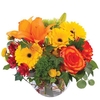 Flower Delivery in Little Rock - Flowers Delivery in Little ...