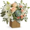Get Well Flowers Fort Worth TX - Flower Delivery in Fort Worth