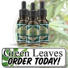 Effective Working of Green Leaves CBD Oil ! Picture Box