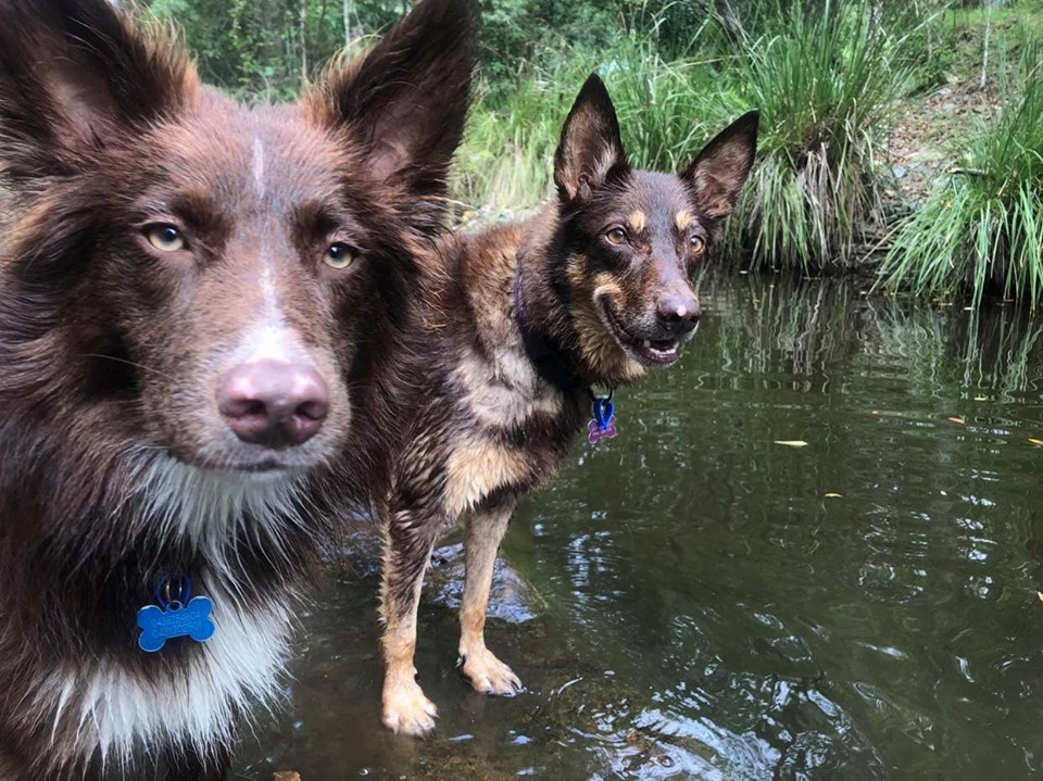 91283116 166408194431642 1640549783334551552 n - 