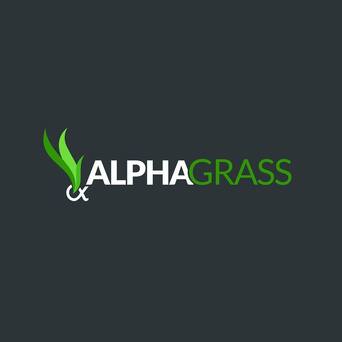 artificial grass essex Alpha Grass