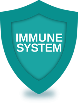 Advantages Of Immunity Shield ! Picture Box
