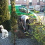 Ziggo kabelbreuk 06-04-20 2 - In de tuin 2020