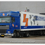 Zoutewelle BL-TS-36-BorderM... - Richard