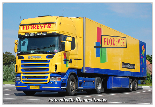 Florever BS-HN-80 (0-BorderMaker Richard