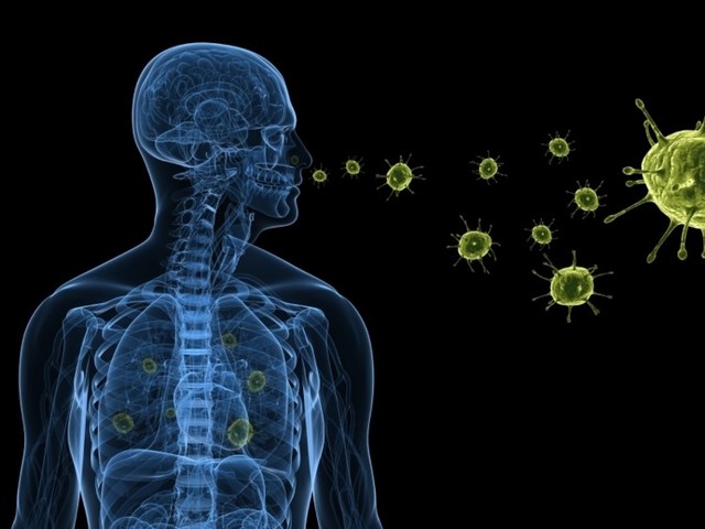 Foodborne-virus-focus-for-EFSA-and-FSA-workshop wr Immune Defence Reviews