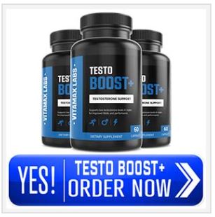 Testo Support Plus Avis Picture Box
