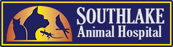 Veterinarian Southlake Animal Hospital