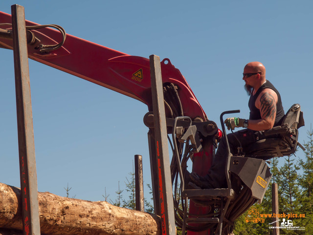 Holz Harth powered by www.truck-pics.eu & www Holz Harth, Philipp Schneider, #truckpicsfamily, www.truck-pics.eu