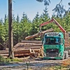 Holz Harth powered by www.t... - Holz Harth, Philipp Schneid...