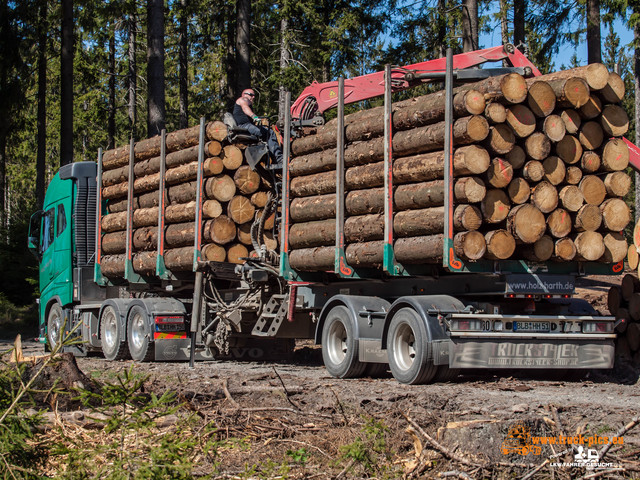 Holz Harth powered by www.truck-pics.eu & www Holz Harth, Philipp Schneider, #truckpicsfamily, www.truck-pics.eu