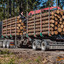 Holz Harth powered by www.t... - Holz Harth, Philipp Schneider, #truckpicsfamily, www.truck-pics.eu