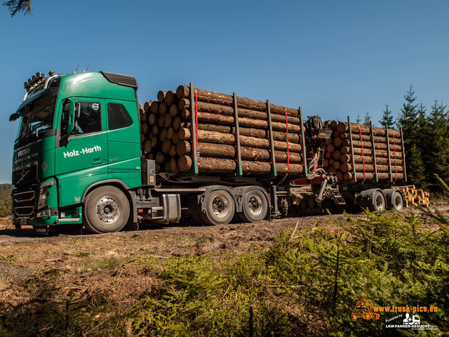 Holz Harth powered by www.truck-pics.eu & www Holz Harth, Philipp Schneider, #truckpicsfamily, www.truck-pics.eu