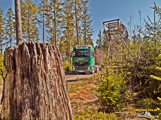 Holz Harth powered by www.truck-pics.eu & www Holz Harth, Philipp Schneider, #truckpicsfamily, www.truck-pics.eu