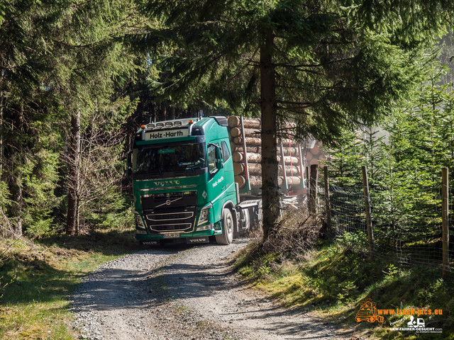 Holz Harth powered by www.truck-pics.eu & www Holz Harth, Philipp Schneider, #truckpicsfamily, www.truck-pics.eu