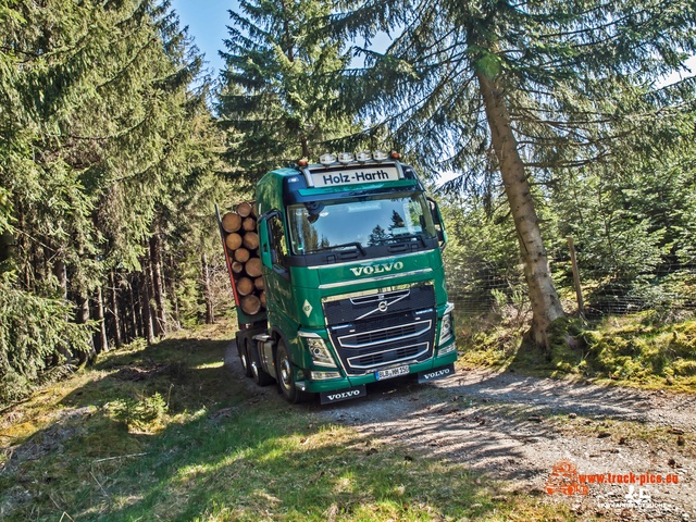 Holz Harth powered by www.truck-pics.eu & www Holz Harth, Philipp Schneider, #truckpicsfamily, www.truck-pics.eu