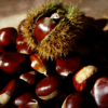 Buy Kinnaur Chestnuts Fruit Online At Best Prices | Kinnaur Organic