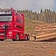 BSD, Wald & Holz powered by... - BSD - Wald & Holz #truckpicsfamily