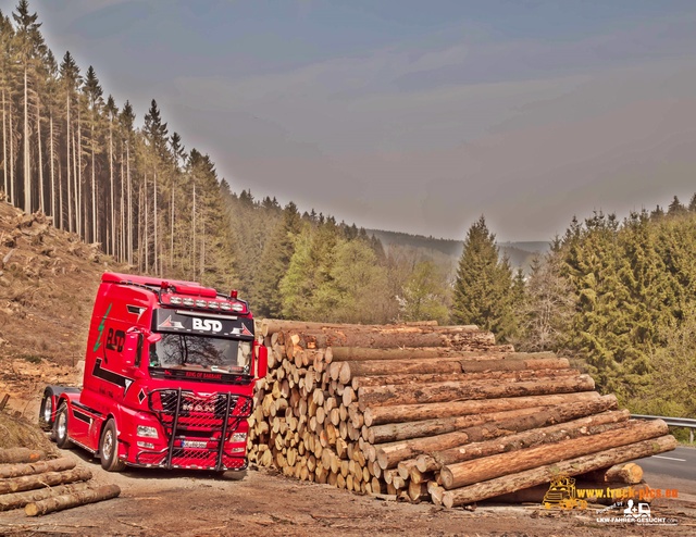 BSD, Wald & Holz powered by www.truck-pics BSD - Wald & Holz #truckpicsfamily