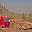 BSD, Wald & Holz powered by... - BSD - Wald & Holz #truckpicsfamily