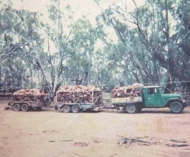 94431583 3027231754010387 1979790532578115584 n - 