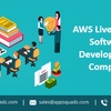 AWS Live Classes Software D... - Picture Box