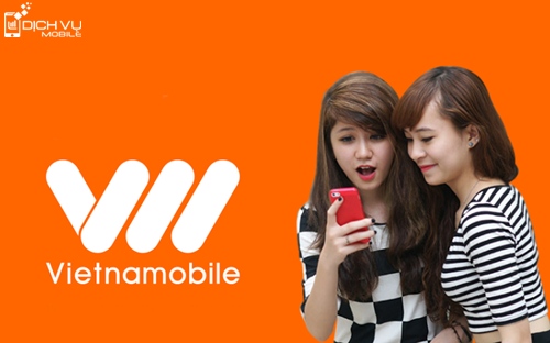 Đầu số 0589 là mạng gì, các đuôi số  qmobile.vn