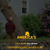 Tree Trimming DavieÂ | Call... - Tree Trimming DavieÂ | Call...