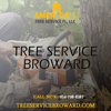 Tree Trimming Davie | Call ... - Tree Trimming Davie | Call ...