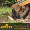 Tree Trimming DavieÂ | Call Now : 954-798-8287