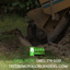 Tree Trimmers Orlando|Call ... - Tree Trimmers Orlando|Call us:(407) 770-3122