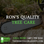 Tree Trimmers Orlando|Call ... - Tree Trimmers Orlando|Call us:(407) 770-3122