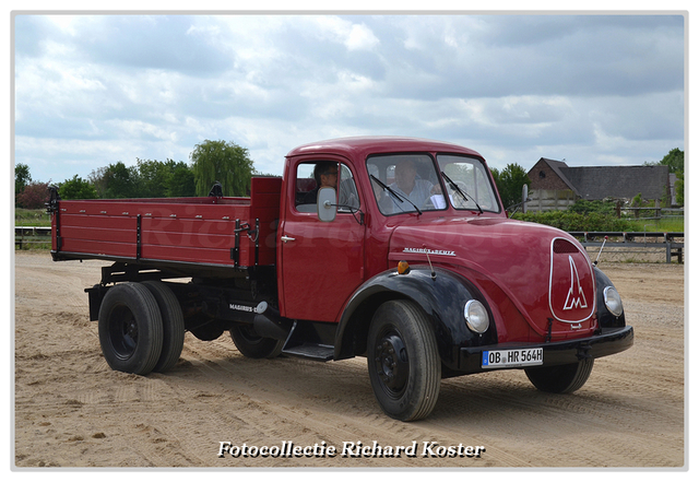 NVG Kippertreffen Wesel-Bislich 2016 (116)-BorderM Richard