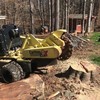 stump grinding alexandria - Tree Service Alexandria VA