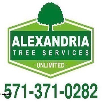 alexandria tree services logo - Anonymous