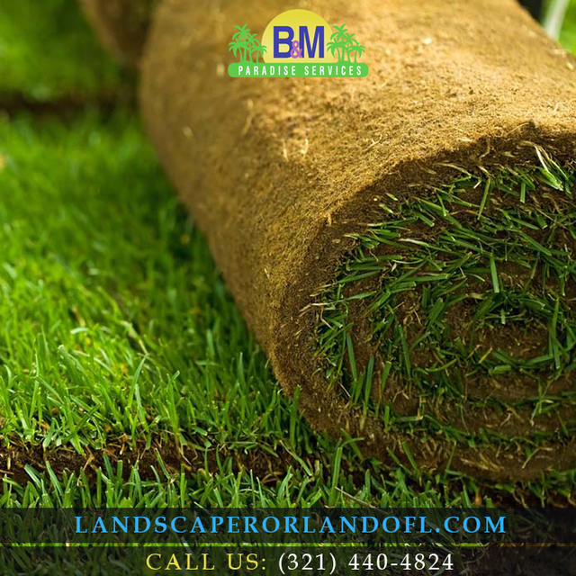 Landscaper Orlando Fl | Call Us: (321) 440-4824 Landscaper Orlando Fl | Call Us: (321) 440-4824