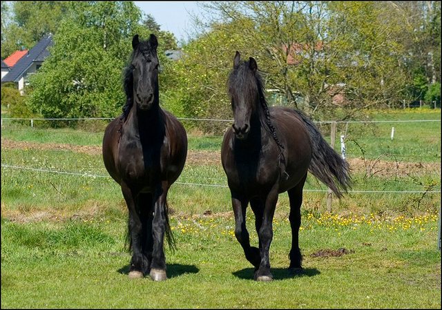 15 nathan en hayke wei mei