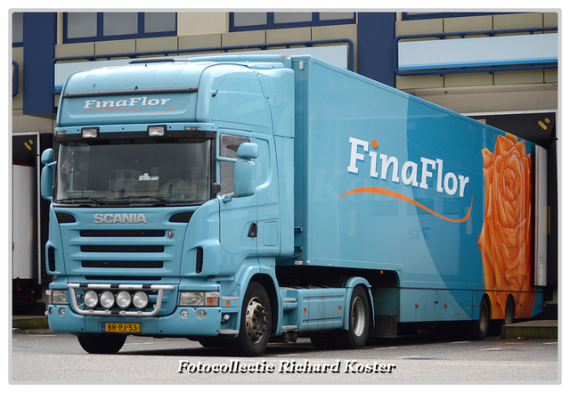 FinaFlor BR-PJ-53 (0)-BorderMaker Richard