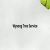 tree service chattanooga tn - Video