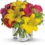 Get Flowers Delivered Genev... - Flower Delivery in Geneva