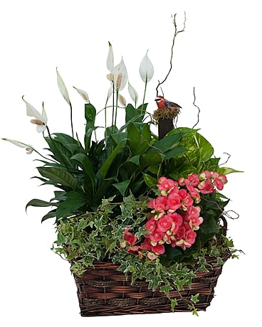 Fresh Flower Delivery Pleasonton CA Flower Delivery in Pleasanton