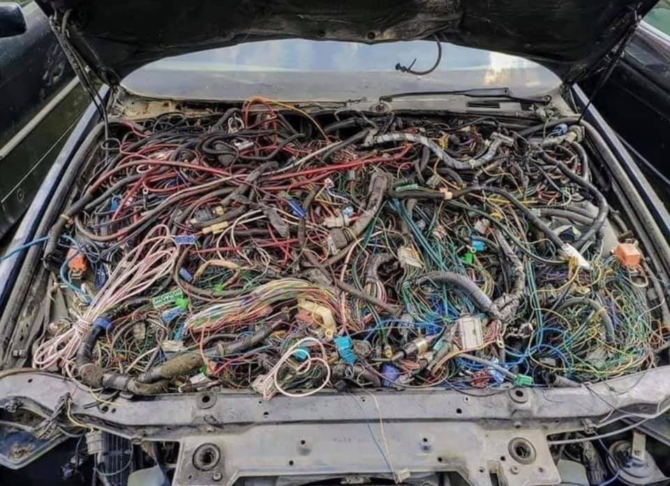 96010030 10158830038759769 7712709134067433472 n - 