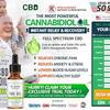 What Is Green Leaves CBD Oi... - Picture Box