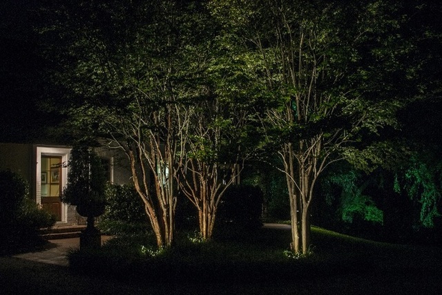 Landscape lighting designer Photos