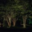 Landscape lighting designer - Photos