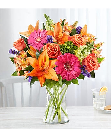 Get Well Flowers Columbus OH Flower Delivery in Columbus